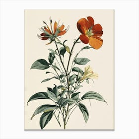 Two Orange Flowers 1 Canvas Print