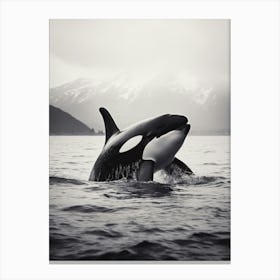 Misty Orca Whale And Mountain In The Distance Black & White Canvas Print