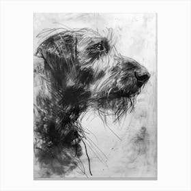 Otterhound Dog Charcoal Line 2 Canvas Print
