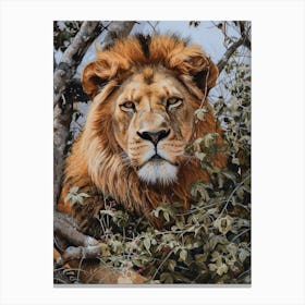 African Lion Lion In Different Seasons Acrylic Painting 2 Canvas Print