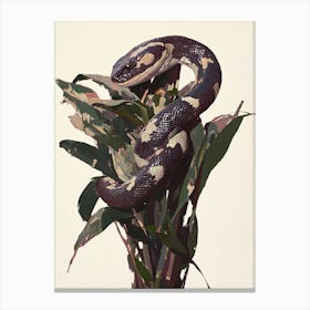 Snake On A Plant Canvas Print