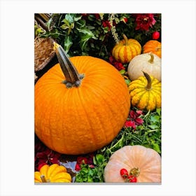 Pumpkins And Flowers Canvas Print