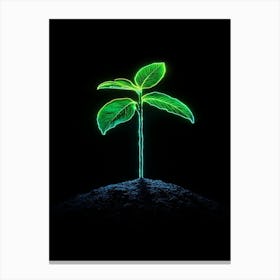 Neon Green Plant On Black Background 1 Canvas Print