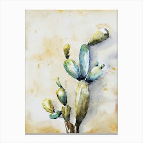 Cactus 1 Canvas Print