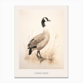 Vintage Bird Drawing Canada Goose 1 Poster Canvas Print