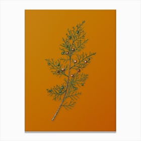 Vintage Phoenicean Juniper Botanical on Sunset Orange n.0678 Canvas Print