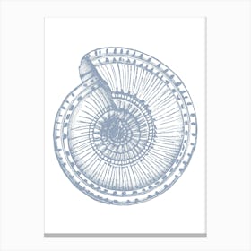 Nautilus Shell 8 Canvas Print