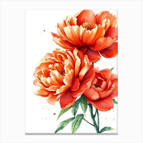 Watercolor Peonies Canvas Print