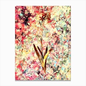 Impressionist Corn Lily Botanical Painting in Blush Pink and Gold Canvas Print