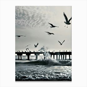 Seagulls On The Pier Canvas Print