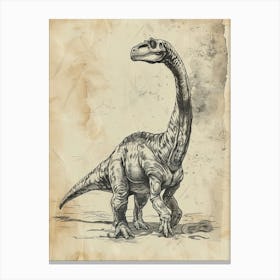 Plateosaurus Dinosaur Black Ink & Sepia Illustration 4 Canvas Print