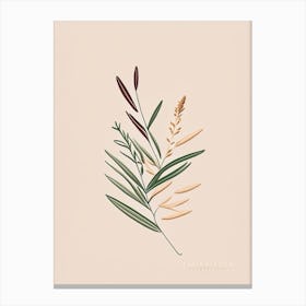 Tarragon Spices And Herbs Retro Minimal 1 Canvas Print