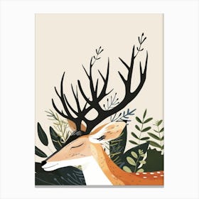 Deer Illustration 4 Canvas Print