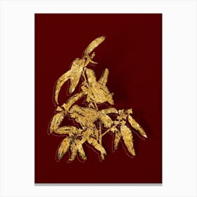 Vintage Russian Olive Botanical in Gold on Red Canvas Print