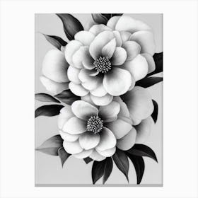 Camellia B&W Pencil 4 Flower Canvas Print