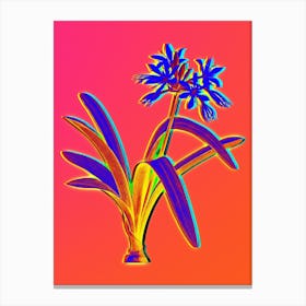 Neon Pancratium Illyricum Botanical in Hot Pink and Electric Blue n.0339 Canvas Print