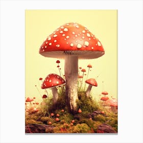 Mushroom Canvas Print