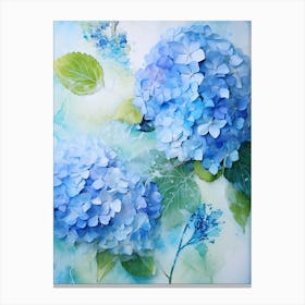 Blue Hydrangeas 8 Canvas Print