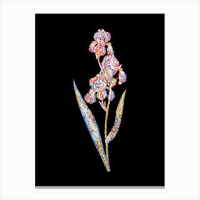Stained Glass Dalmatian Iris Mosaic Botanical Illustration on Black n.0083 Canvas Print