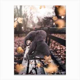 Baby Elephant On A Bench Canvas Print