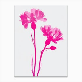 Hot Pink Cornflower Canvas Print