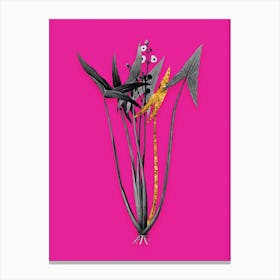 Vintage Arrowhead Black and White Gold Leaf Floral Art on Hot Pink n.0173 Canvas Print