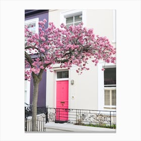 Pink Door Cherry Blossom Canvas Print