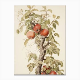 Autumn Apple Tree Vintage Canvas Print