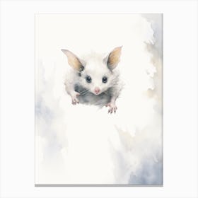 Light Watercolor Painting Of A Acrobatic Possum 2 Canvas Print