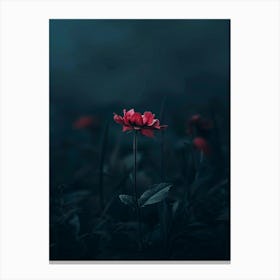 Flower In The Dark 95 Canvas Print