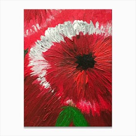 Red Poppy Leinwandbild