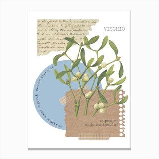 Vischio Canvas Print
