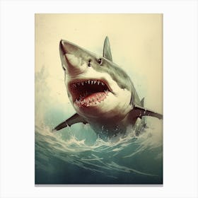 Vintage Illustration Of A Shark 1 Canvas Print