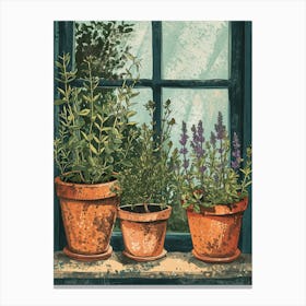 Potted Herbs On The Windowsil Illustration 4 Canvas Print