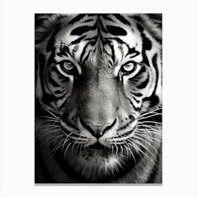 Black And White Photograph Of A Tiger's Face Canvas Print