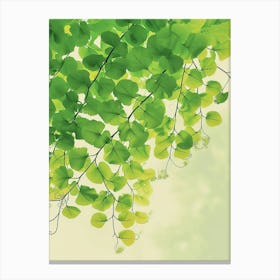 Pattern Poster Southern Maidenhair Fern 2 Canvas Print