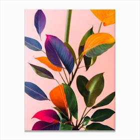 Split Leaf Philodendron Colourful Illustration Plant Canvas Print