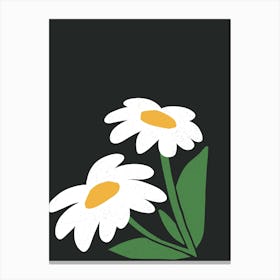 Daisies Canvas Print