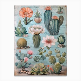 Cactus 7 Canvas Print