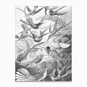 HUMMINGBIRDS 2.0 Black / White Canvas Print