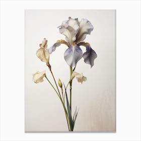 Pressed Wildflower Botanical Art Wild Iris Canvas Print