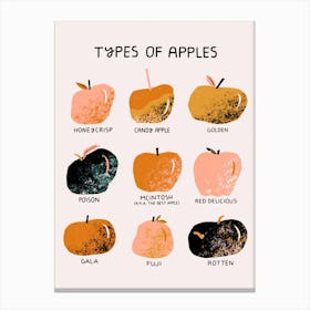 Types Of Apples    Canvas Print
