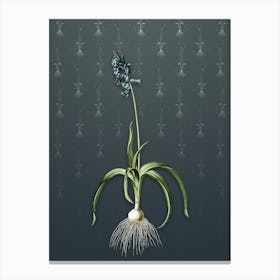 Vintage Common Bluebell Botanical on Slate Gray Pattern n.1051 Canvas Print