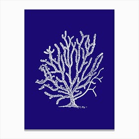 Coral Tree 1 Canvas Print