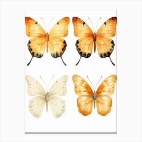 Butterfly Set 1 Canvas Print