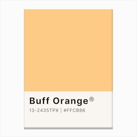 Buff Orange Canvas Print