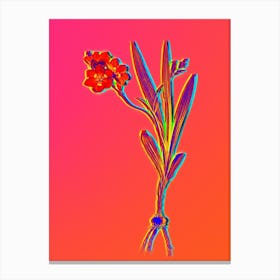 Neon Ixia Miniata Botanical in Hot Pink and Electric Blue n.0487 Canvas Print