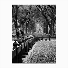 Central Park - New York USA Canvas Print