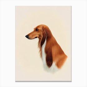 Saluki Illustration dog Canvas Print