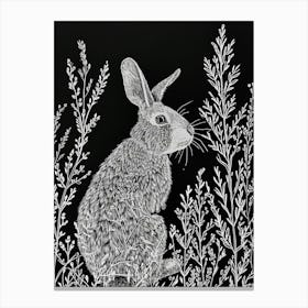 Himalayan Rabbit Minimalist Illustration 1 Canvas Print